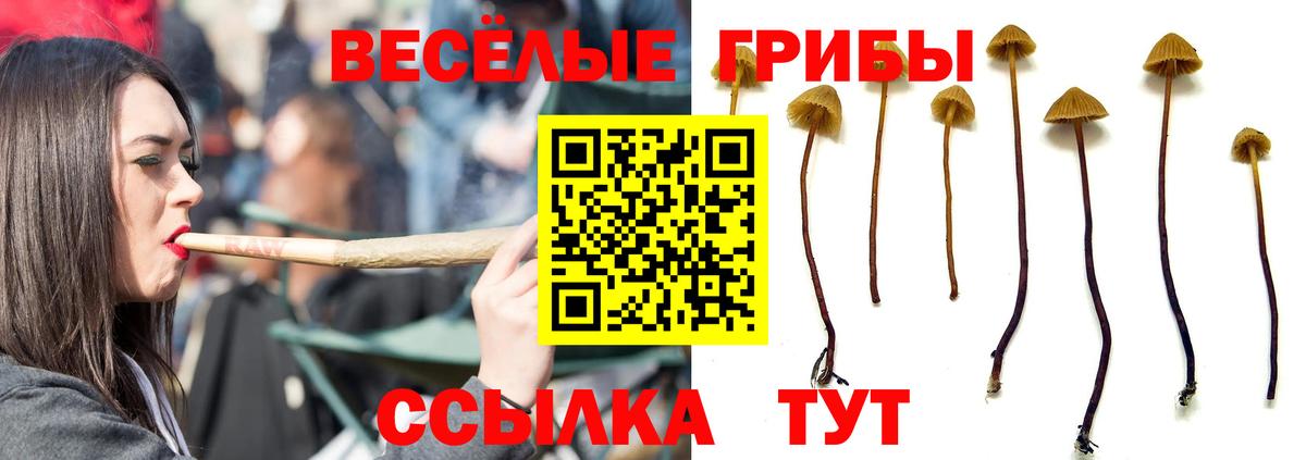 Галлюциногенные грибы GOLDEN TEACHER  Вход с VPN  Учалы 